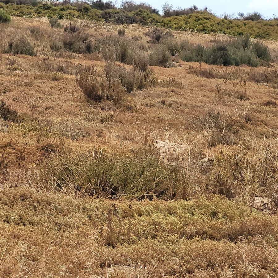 Commercial Property for Sale in Saldanha Industrial Western Cape